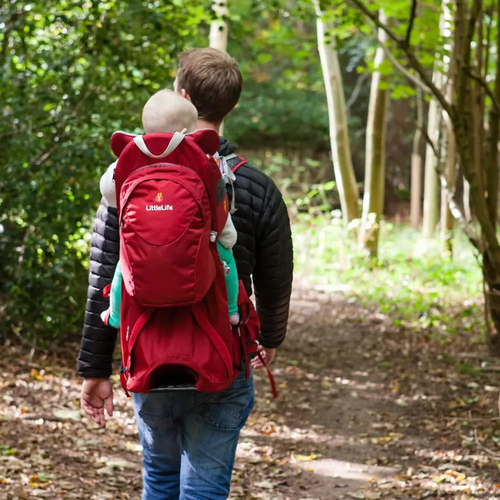 ???????3????????????????????? Voyager S4 Child Carrier