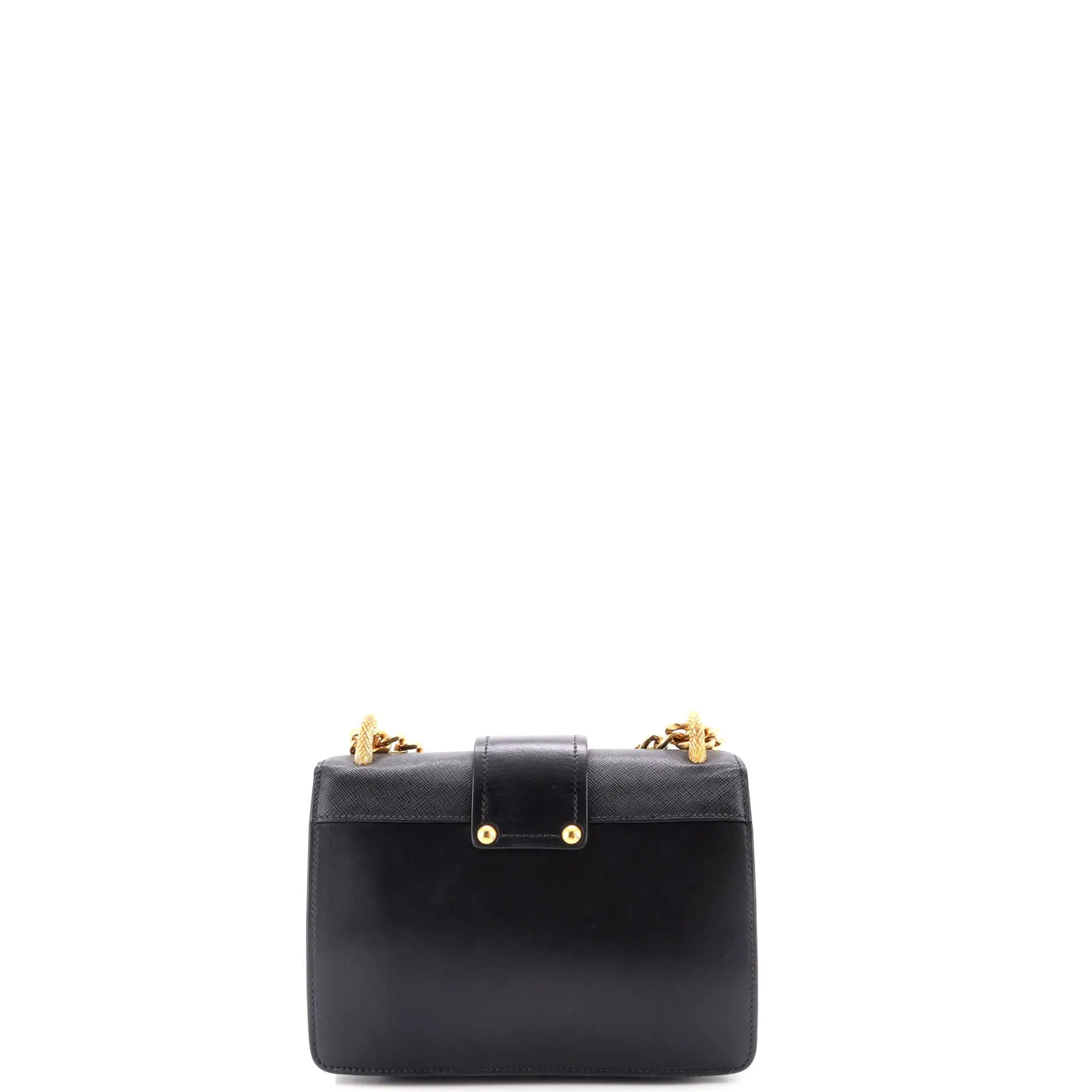 Animalier Cahier Crossbody Bag City Calf and Saffiano Small