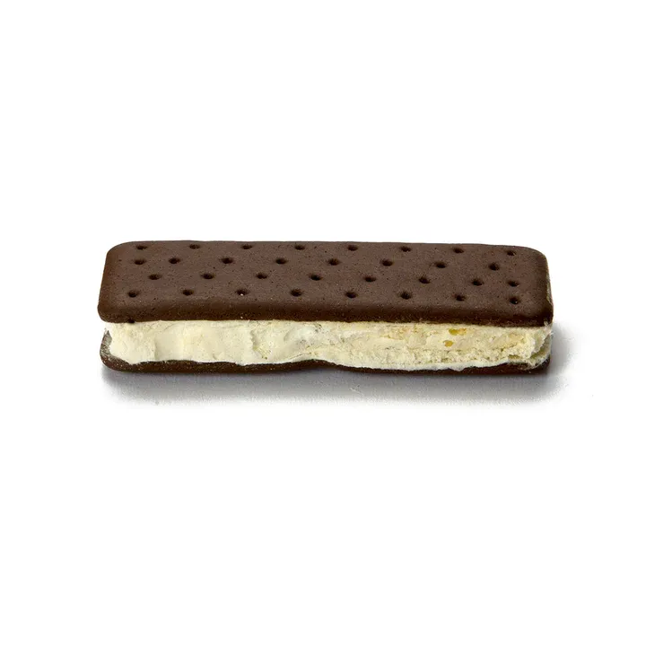 Astronaut Vanilla Ice Cream Sandwich