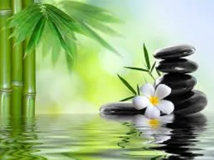 Bamboo Type Fragrance Oil sweet food-inspired fragrance oil