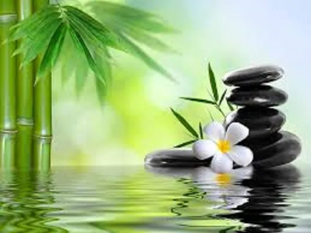 Bamboo Type Fragrance Oil sweet food-inspired fragrance oil