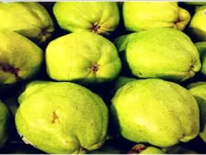 Bartlett Pear by Peak Type Fragrance Oil sweet food-inspired fragrance oil
