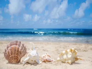 Beach by Bobbi Brown Type Fragrance Oil sweet food-inspired fragrance oil