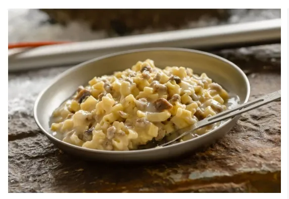 Beef Stroganoff with Noodles