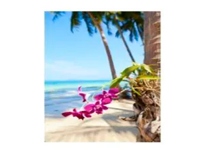 Blossom & Sea Shores Type Fragrance Oil sweet food-inspired fragrance oil
