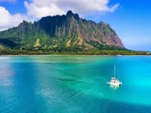 Blue Hawaiian Type Fragrance Oil sweet food-inspired fragrance oil
