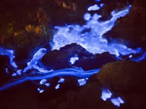 Blue Volcano by Capri Type Fragrance Oil sweet food-inspired fragrance oil