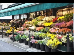 Bob's Flower Shop Type Fragrance Oil sweet food-inspired fragrance oil