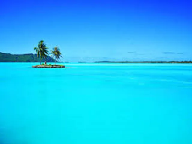 Bora Bora by Rustic Escentuals Type Fragrance Oil sweet food-inspired fragrance oil