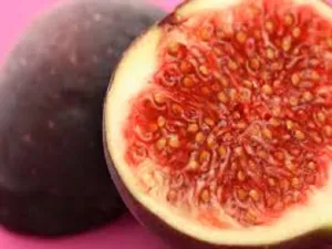 Brown Sugar & Fig by BBW Type Fragrance Oil sweet food-inspired fragrance oil