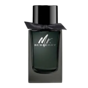 Burberry Mr Burberry Eau De Parfum 100ml signature-unisex-scent-bottle