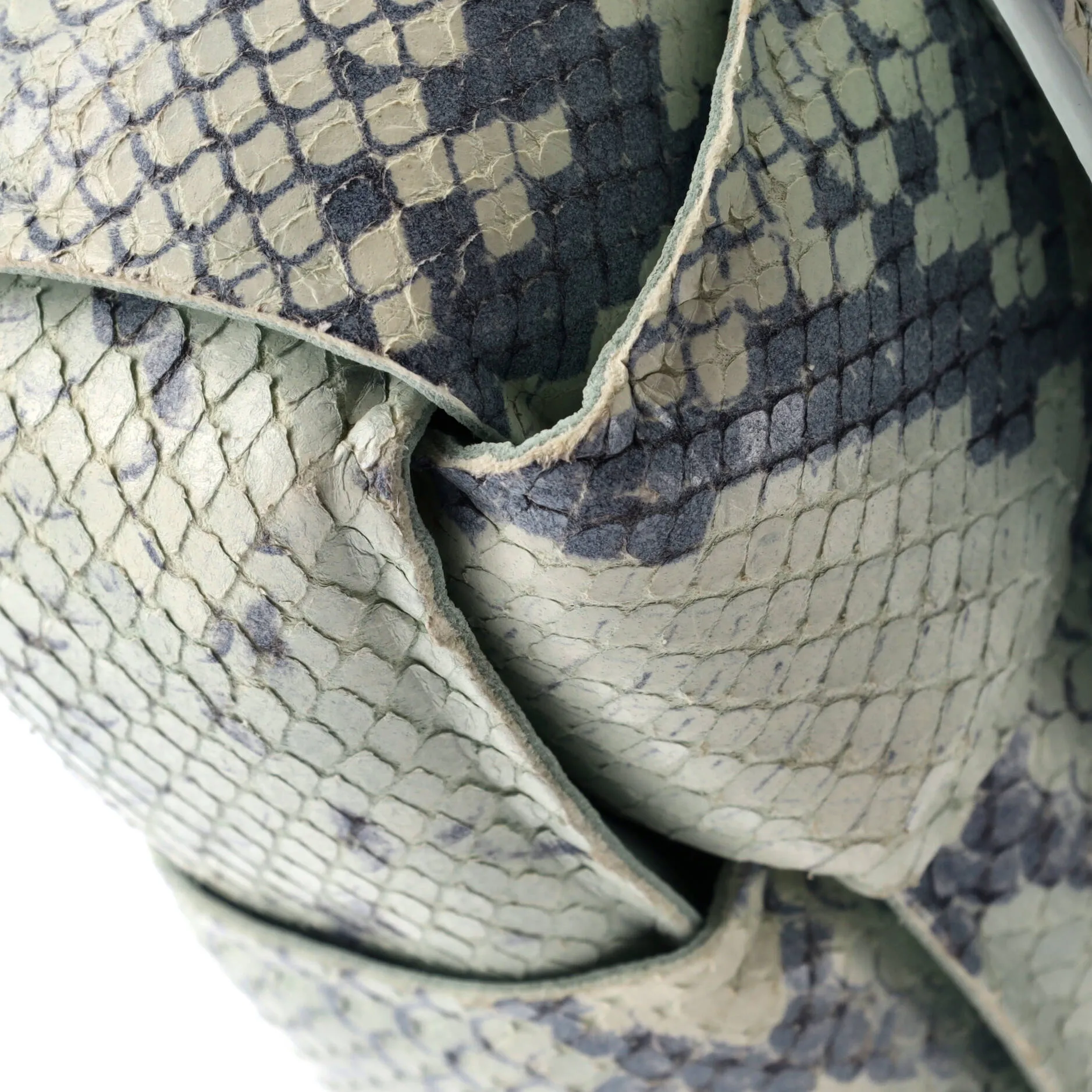 Cassette Crossbody Bag Padded Maxi Intrecciato Python Embossed Leather