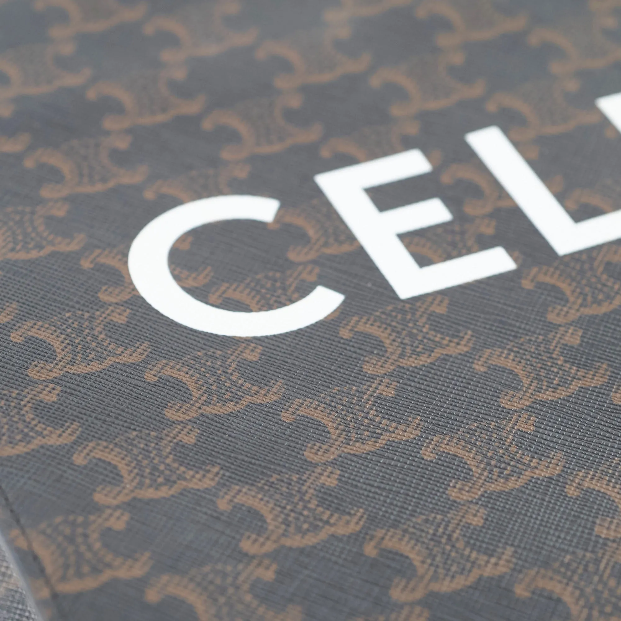 Celine Vertical Cabas Canvas Tote Brown