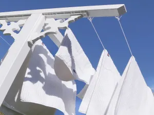Clean Laundry by Mad Oils Type Fragrance Oil sweet food-inspired fragrance oil