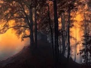 Crisp Morning Air by YC Type Fragrance Oil sweet food-inspired fragrance oil