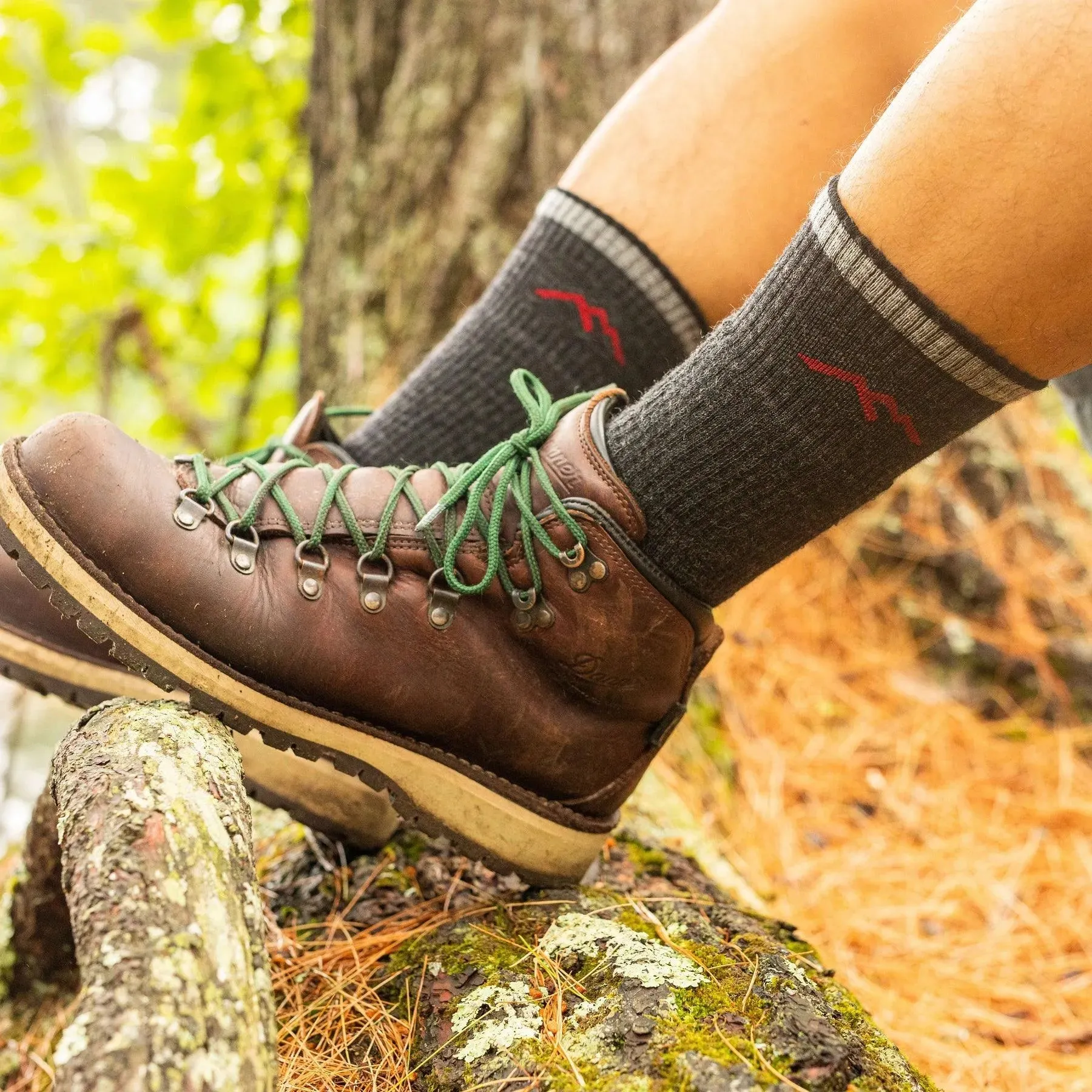 Darn Tough | Men's Hiker Boot Midweight Hiking Sock