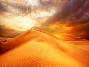 Golden Sands by YC Type Fragrance Oil sweet food-inspired fragrance oil