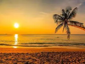 Honolulu Sun by BBW Type Fragrance Oil sweet food-inspired fragrance oil