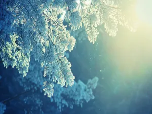 Ice Blue by Lush Type Fragrance Oil sweet food-inspired fragrance oil