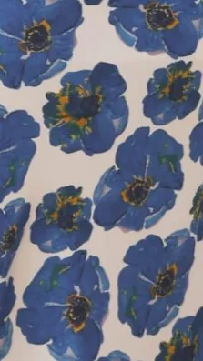 Iva Midi Dress - Blue Floral