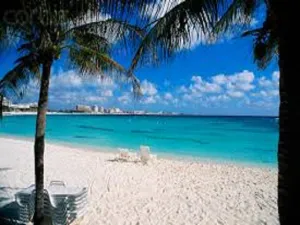 Jamaica Me Crazy Type Fragrance Oil sweet food-inspired fragrance oil