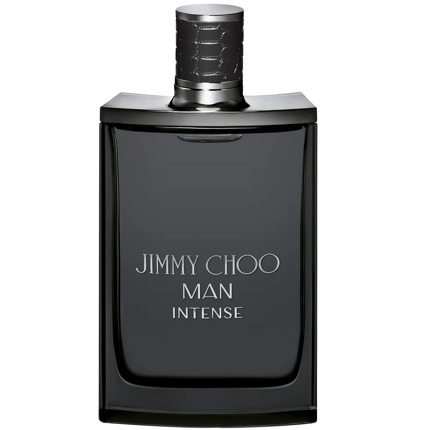 Jimmy Choo Man Intense 6.8 oz EDT for men