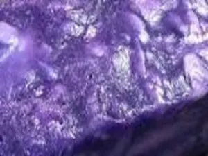 Lady Catrina by Lush Type Fragrance Oil sweet food-inspired fragrance oil