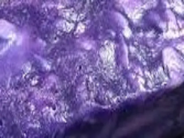 Lady Catrina by Lush Type Fragrance Oil sweet food-inspired fragrance oil