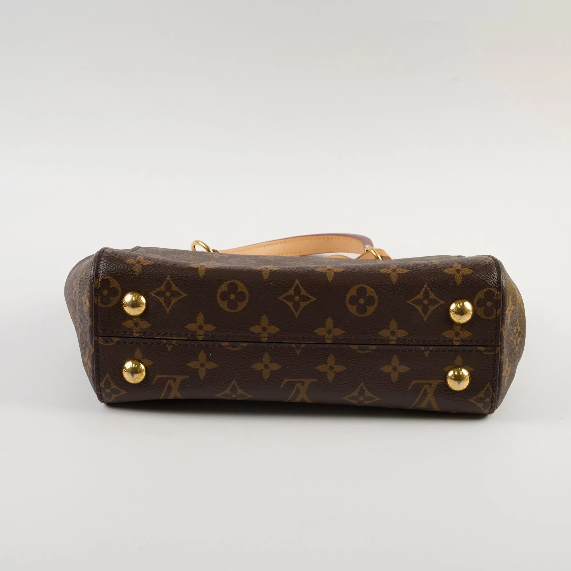 Louis Vuitton Cluny MM Monogram Microchip