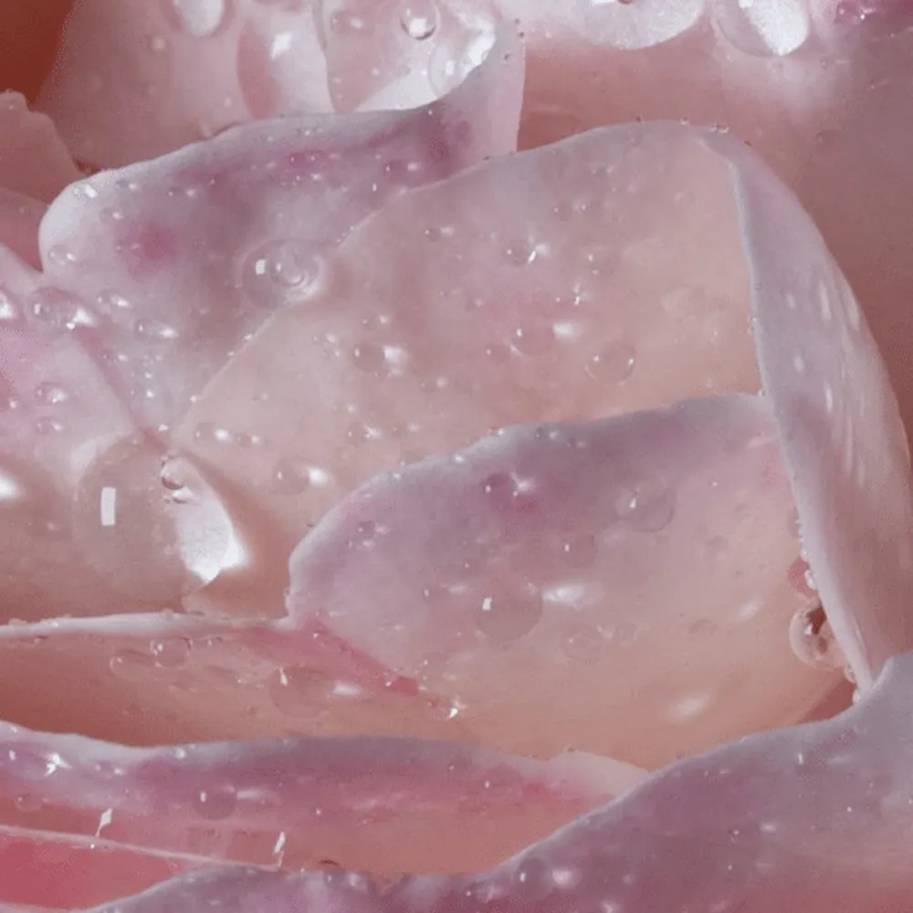Maison Francis Kurkdjian L'Eau A La Rose EDT 35ml