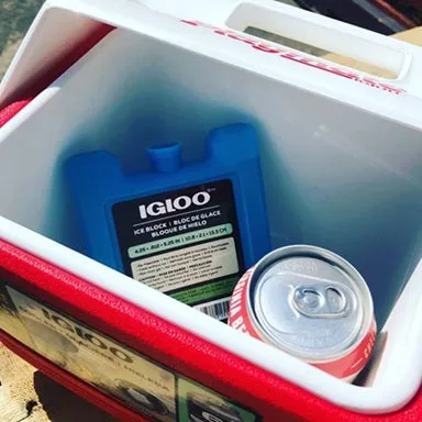 Playmate Pal Cold Cooler - 7QT