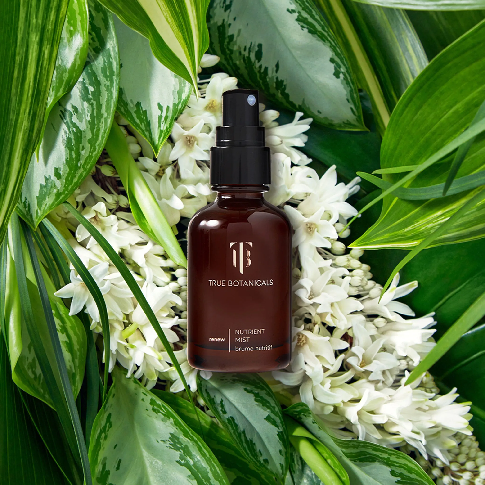 a tinted moisturizer,bubble moisturizer