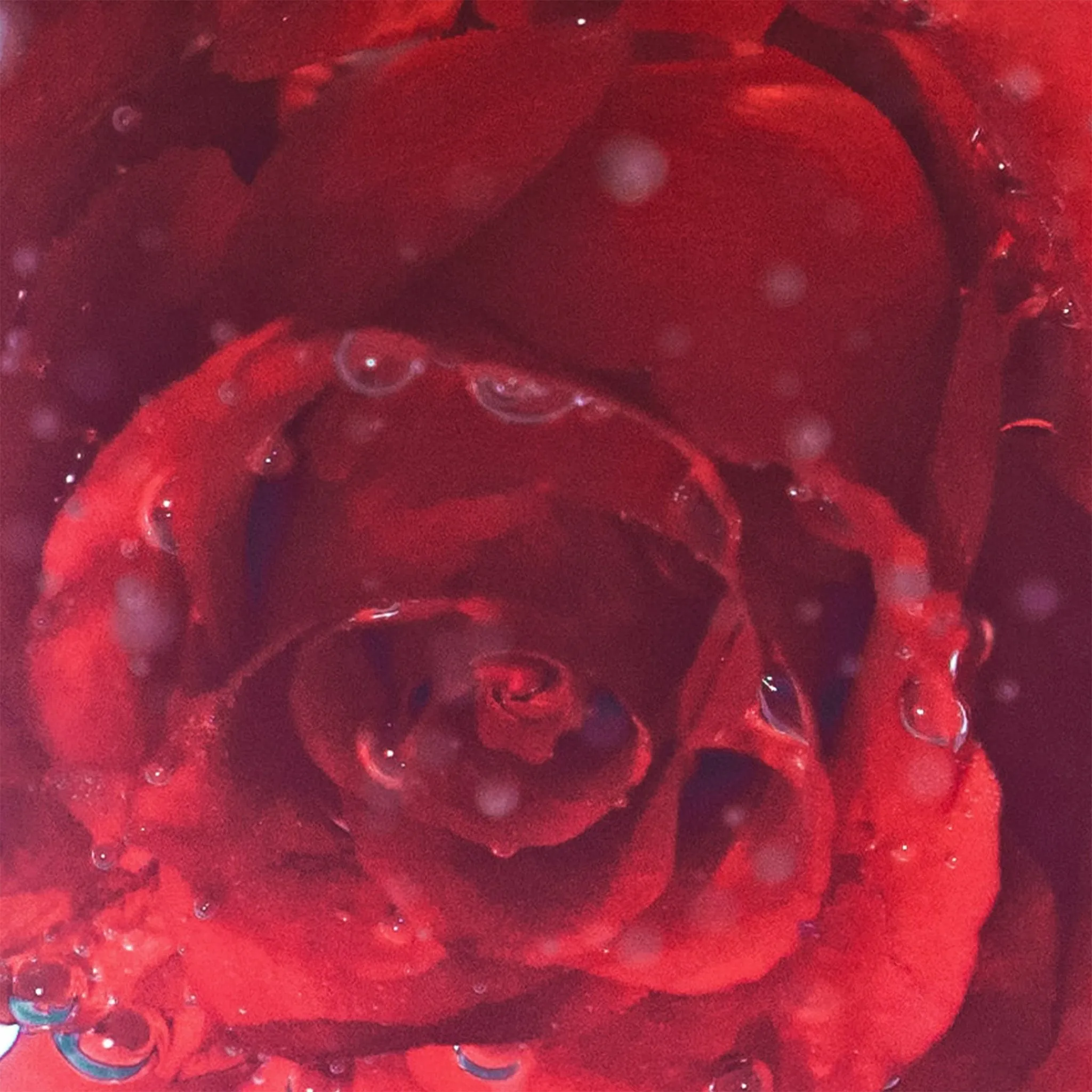 a tinted moisturizer,bubble moisturizer