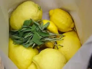 Sage & Citrus by YC Type Fragrance Oil sweet food-inspired fragrance oil