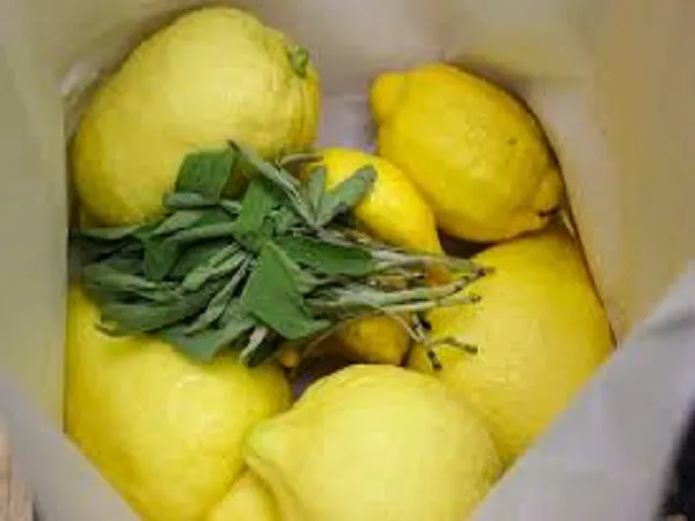 Sage & Citrus by YC Type Fragrance Oil sweet food-inspired fragrance oil