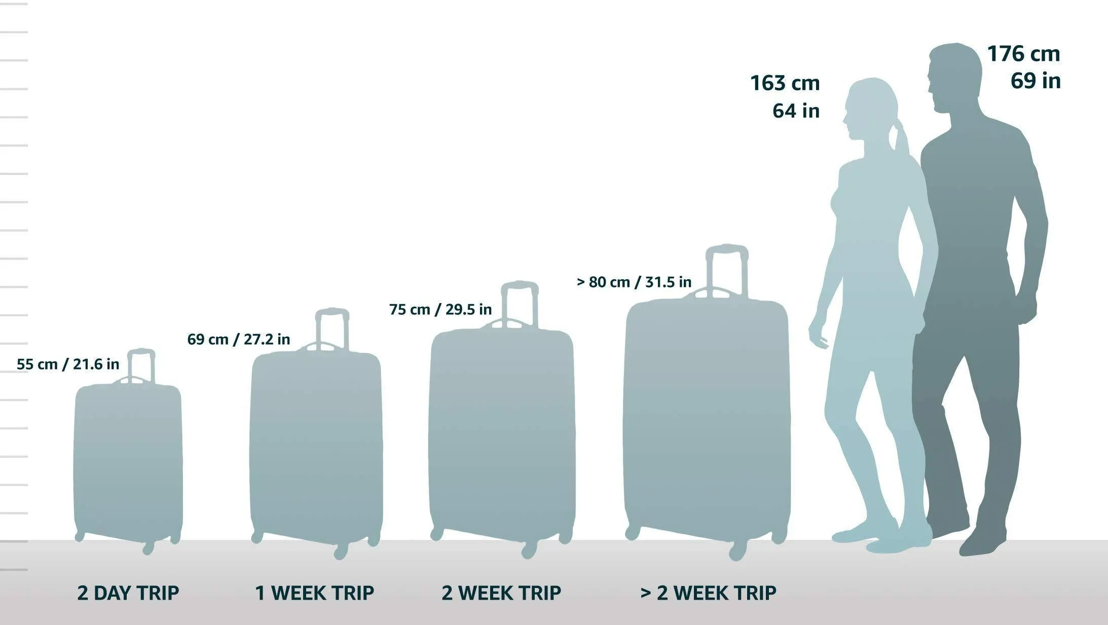 Samsonite Winfield 3 DLX Valise Grand Format à 4 Roues de 28 Pouces Samsonite