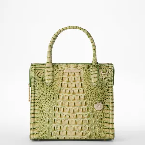 Small Caroline Cheap Handbags