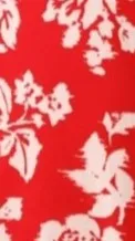 Sumi Mini Dress - Red Floral