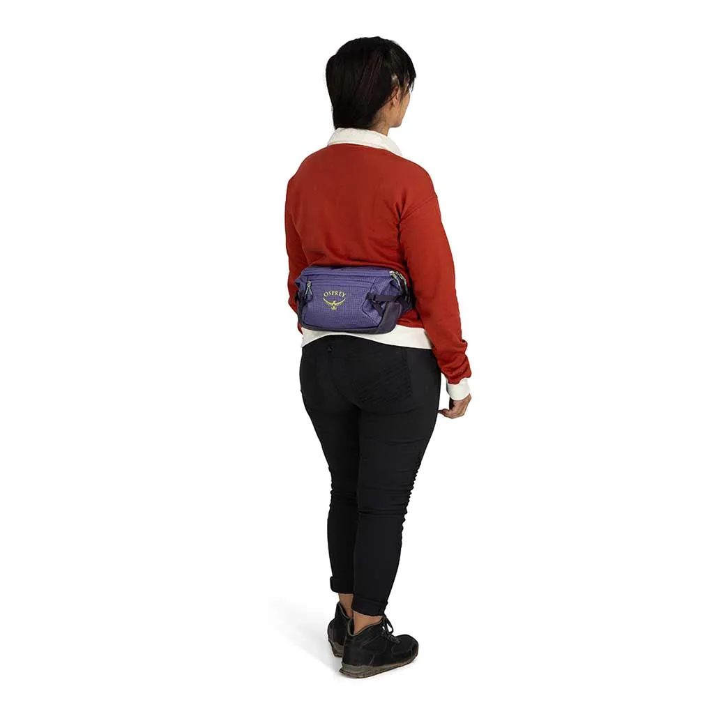 Transporter Waist Pack