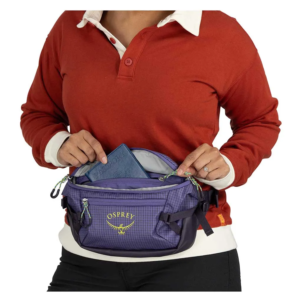 Transporter Waist Pack