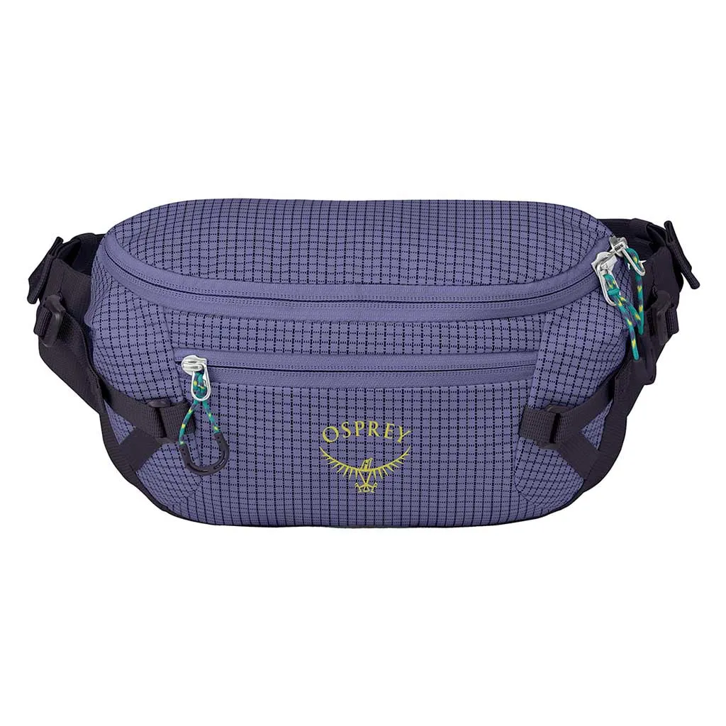 Transporter Waist Pack
