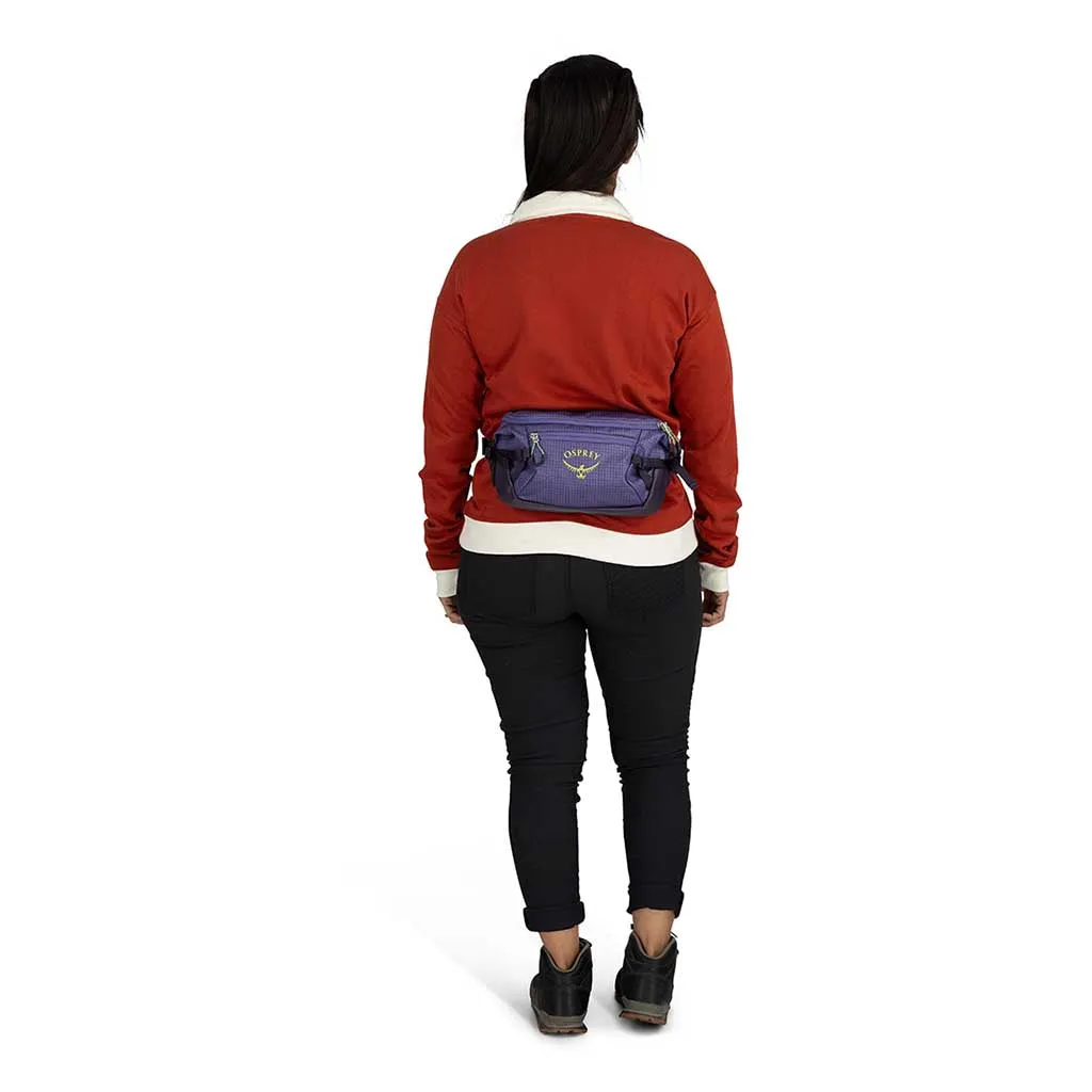 Transporter Waist Pack
