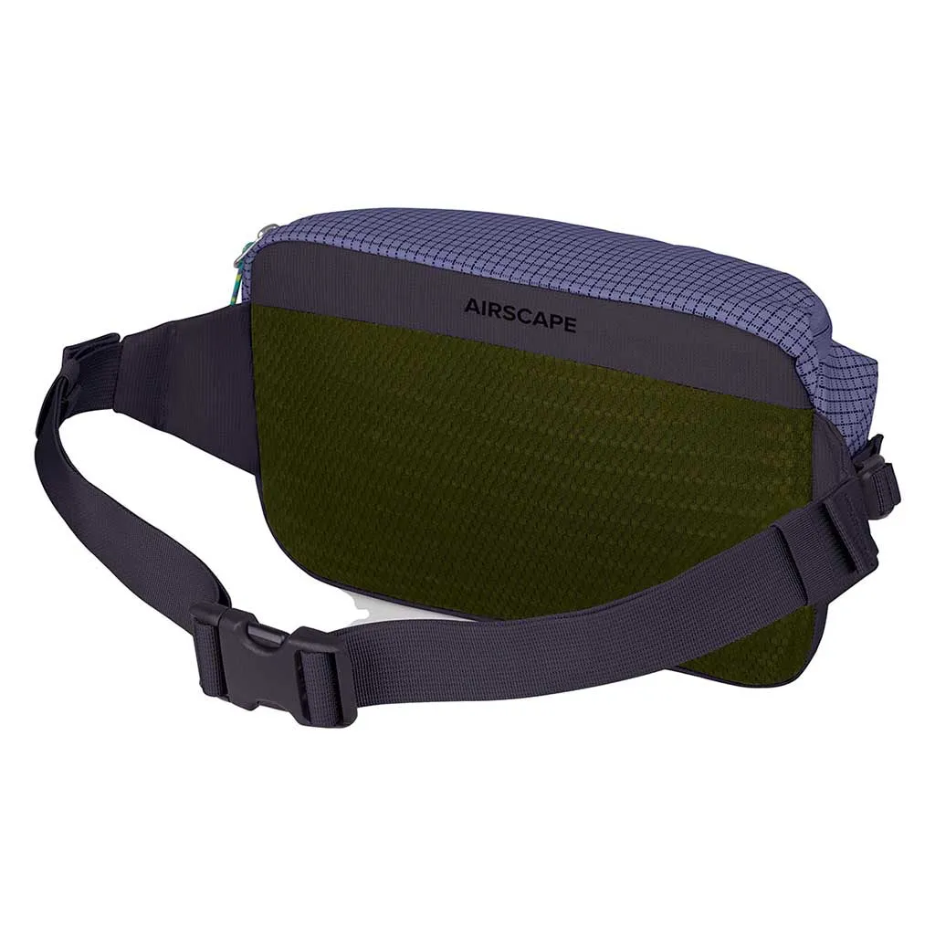 Transporter Waist Pack